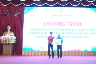 Tin xem nhiều