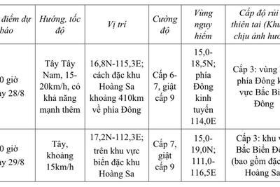 Tin xem nhiều