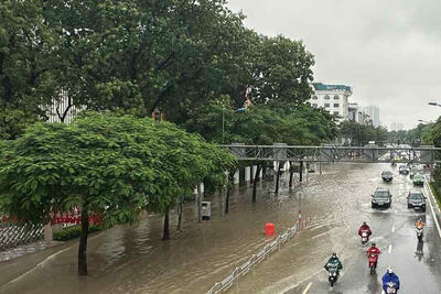 Tin xem nhiều
