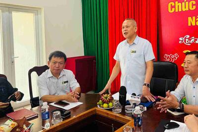 Tin xem nhiều