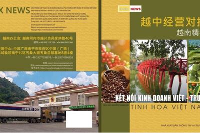 Tin xem nhiều
