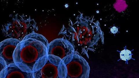 Bệnh nhân đầu tiên được tiêm virus diệt 5 loại ung thư