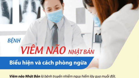 Bệnh viêm não Nhật Bản - biểu hiện và cách phòng ngừa