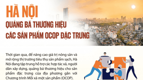 Hà Nội quảng bá thương hiệu các sản phẩm OCOP đặc trưng địa phương