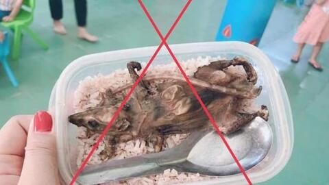 Xác minh thông tin 'học sinh vùng cao phải ăn cơm với thịt chuột'