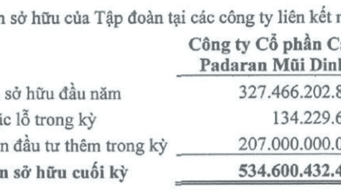 FIT thoái vốn, doanh nhân Thang Văn Lương ngồi ghế nóng dự án tỷ đô Cap Padaran Mũi Dinh
