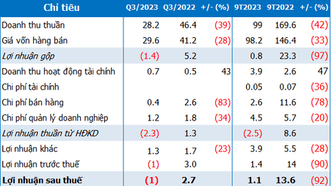 Thủy sản MeKong lỗ quý 3