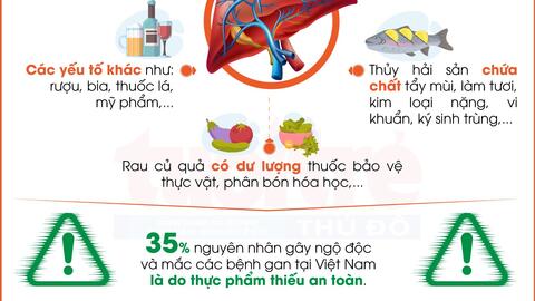 Những thực phẩm dễ khiến gan nhiễm độc