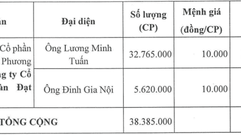 DPG bảo lãnh cho công ty con vay để thực hiện dự án thủy điện Sơn Trà