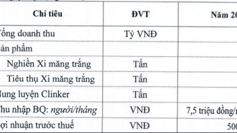 Thu nhập bình quân của Xi măng Thái Bình chỉ 7.2 triệu đồng/người/tháng