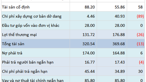 Một doanh nghiệp nông sản lỗ 16 quý liên tiếp