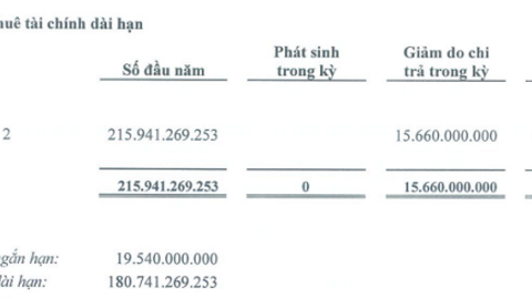 Doanh thu cốt lõi không đủ bù chi phí lãi vay, Cảng Chân Mây lỗ ròng 2 năm liên tiếp