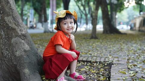 Ngắm đường Phan Đình Phùng trải thảm lá vàng