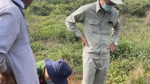 Đắk Nông: Xử phạt trang trại chăn nuôi heo gần 500 triệu đồng