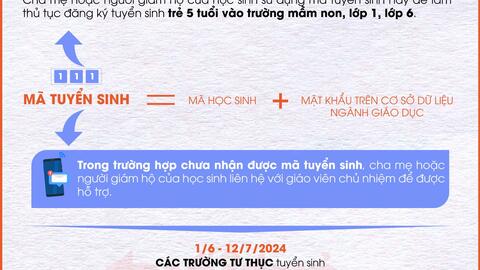 Hà Nội: Cấp mã tuyển sinh đầu cấp trước ngày 31/5