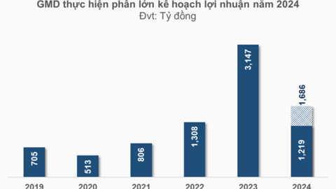 GMD thực hiện 72% mục tiêu lợi nhuận sau nửa đầu năm