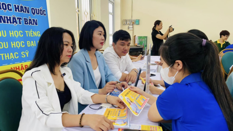 Hơn 196.000 người lao động ở Hà Nội được giải quyết việc làm