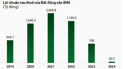 Lợi nhuận BIM Land hơn 50 tỷ, thấp nhất 6 năm