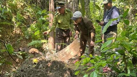 Thả 11 động vật hoang dã về Vườn Quốc gia Phong Nha - Kẻ Bàng