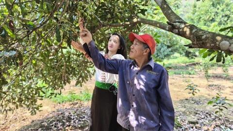 Điện Biên: Đẩy mạnh phát triển OCOP, gia tăng giá trị nông sản bản địa