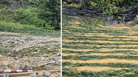Mưa lớn, sét đánh gây thiệt hại tiền tỉ ở Cao Bằng
