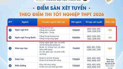 Từ 17 điểm thi tốt nghiệp THPT có thể đỗ nhiều ngành Ngôn ngữ