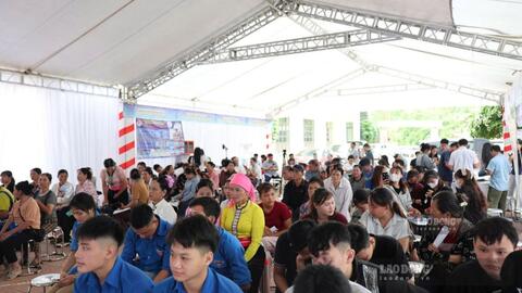 Phú Thọ tăng cường các giải pháp giải quyết việc làm cho lao động năm 2026