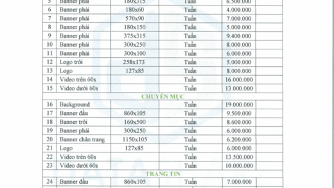 Báo giá website năm 2019