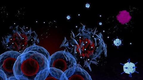 Bệnh nhân đầu tiên được tiêm virus diệt 5 loại ung thư