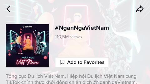 #NganNgaVietNam đạt cột mốc 110 triệu lượt xem trên TikTok