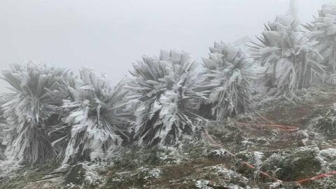 Nền nhiệt Bắc bộ tăng vọt lên 30 độ C trước khi đón rét đậm, rét hại kéo dài vào ngày mai