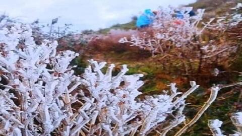 Dự báo thời tiết ngày 22/12/2023: Rét đậm diện rộng, có nơi dưới 7 độ