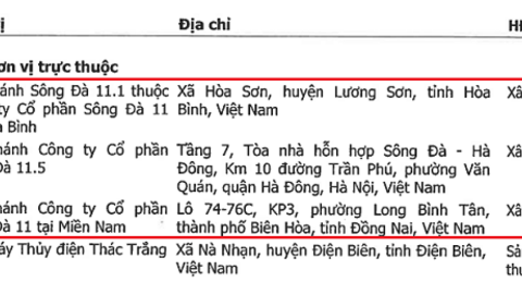 SJE sắp cấu trúc chi nhánh thành công ty con