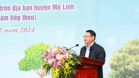 Huyện Mê Linh: Phấn đấu trồng mới 26.000 cây xanh