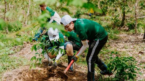 Quy định chi tiết thi hành một số điều của Luật Lâm nghiệp