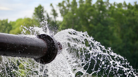 TDM kế hoạch lãi 2024 giảm 32% do không còn cổ tức tiền mặt từ Biwase