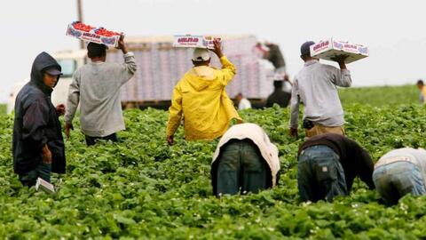 Quảng Nam: Cảnh báo lừa đảo đưa lao động sang Australia