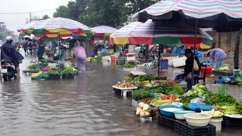 Không sử dụng gia súc, gia cầm chết để chế biến thực phẩm