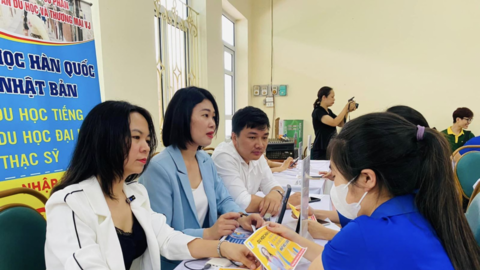 Hơn 196.000 người lao động ở Hà Nội được giải quyết việc làm