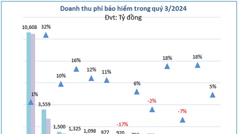 Doanh nghiệp bảo hiểm nào thiệt hại nặng nhất vì bão Yagi?