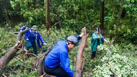 Tuổi trẻ Thanh Hóa xung kích, tình nguyện, đảm bảo an sinh xã hội