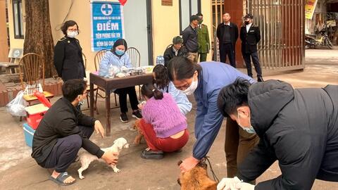Cần đẩy mạnh công tác tiêm vắc xin phòng dại cho đàn vật nuôi