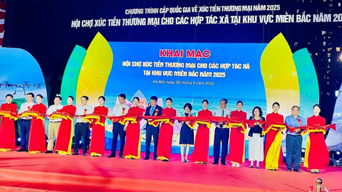 Hội chợ xúc tiến thương mại hợp tác xã miền Nam 2025 mở rộng kết nối giao thương