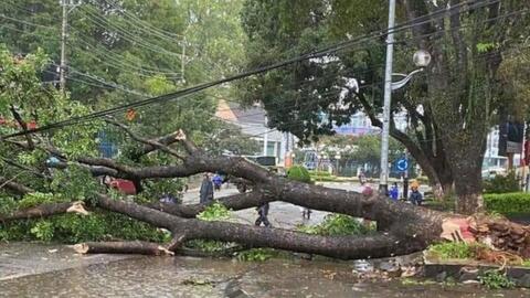 Hỗ trợ khẩn cấp 80 tỷ đồng cho 3 tỉnh Quảng Ngãi, Gia Lai, Đắk Lắk khắc phục hậu quả bão số 13