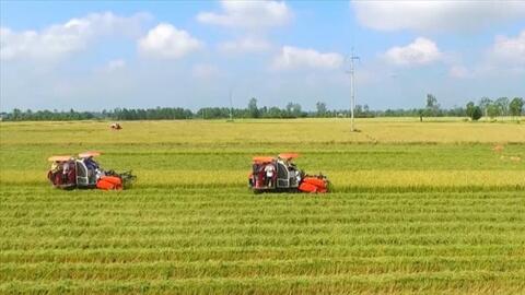 Đối tượng được miễn thuế sử dụng đất nông nghiệp đối với toàn bộ diện tích đất nông nghiệp