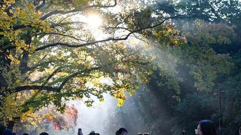 Dự báo nhiệt độ xuống gần mức 0 độ C trong đợt rét đầu mùa ở Trung Quốc