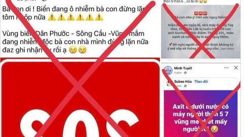 Công an bác tin đồn người lặn bắt tôm hùm tử vong do axit sunfuric trôi ra biển