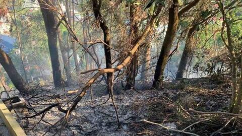 Hải Phòng siết chặt quản lý, xử lý nghiêm hành vi tự ý đốt rác, phế liệu