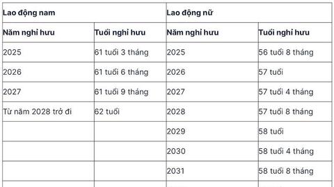 Tra cứu độ tuổi nghỉ hưu, tuổi nghỉ hưu thấp nhất theo quy định mới