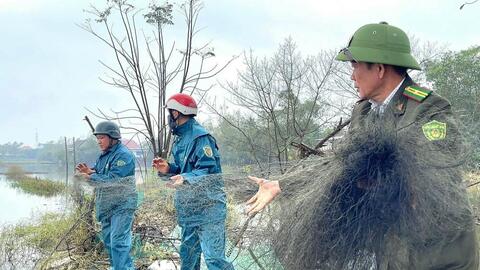 Xóa sổ “ma trận” bẫy chim hoang dã quy mô lớn tại Huế